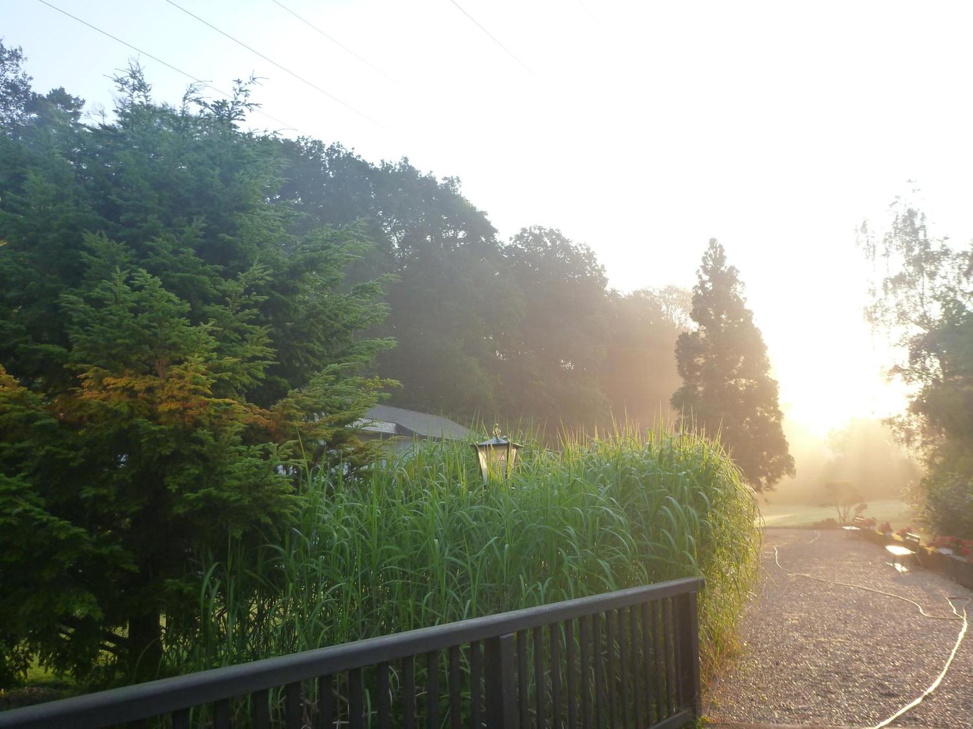 Romantik Waldhotel Mangold Bergisch Gladbach Exterior foto